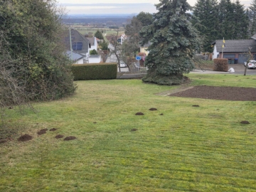 Schönes Grundstück mit Garage und Fernblick, in Nideggen-Rath zu verkaufen, 52385 Nideggen, Wohngrundstück
